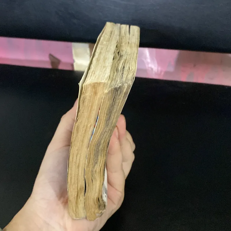 Ảo Mộng Tình Yêu 1029593