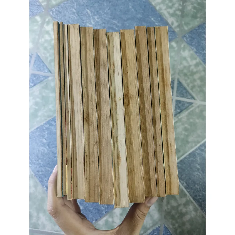 Ngôi nhà nhỏ trên thảo nguyên ( năm 1998, full ) - Laura Ingalls Wilder 776906