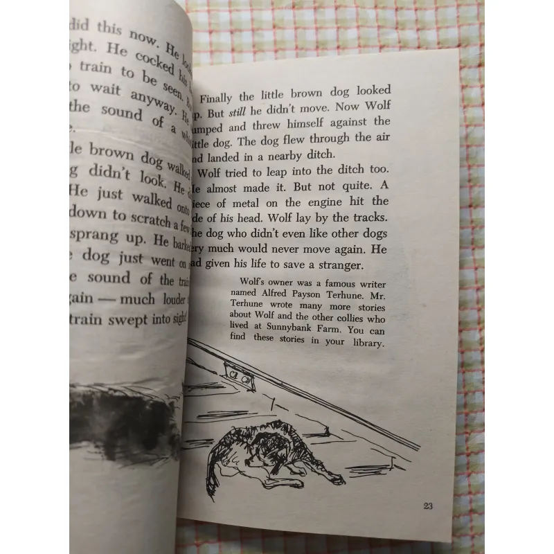 Sách Five True Dog Stories – Margaret Davidson 751831