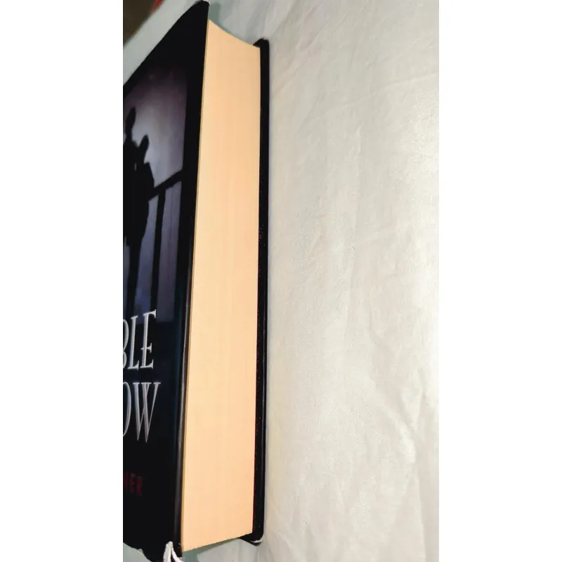 The Double Shadow - Sally Gardner (bìa cứng) 747990