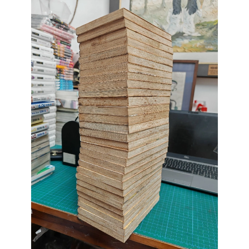 TRUYỆN TRANH FAIRY TAIL ( FULL / LẺ ) 386663