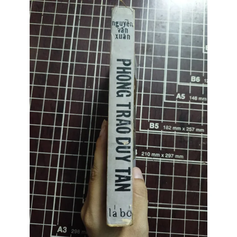 Phong trào duy tân - Nguyễn Văn Xuân 731132