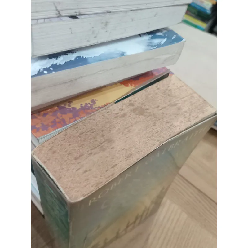 Con Chim Khát Tổ - The Cuckoo's Calling - Robert Galbraith 150598