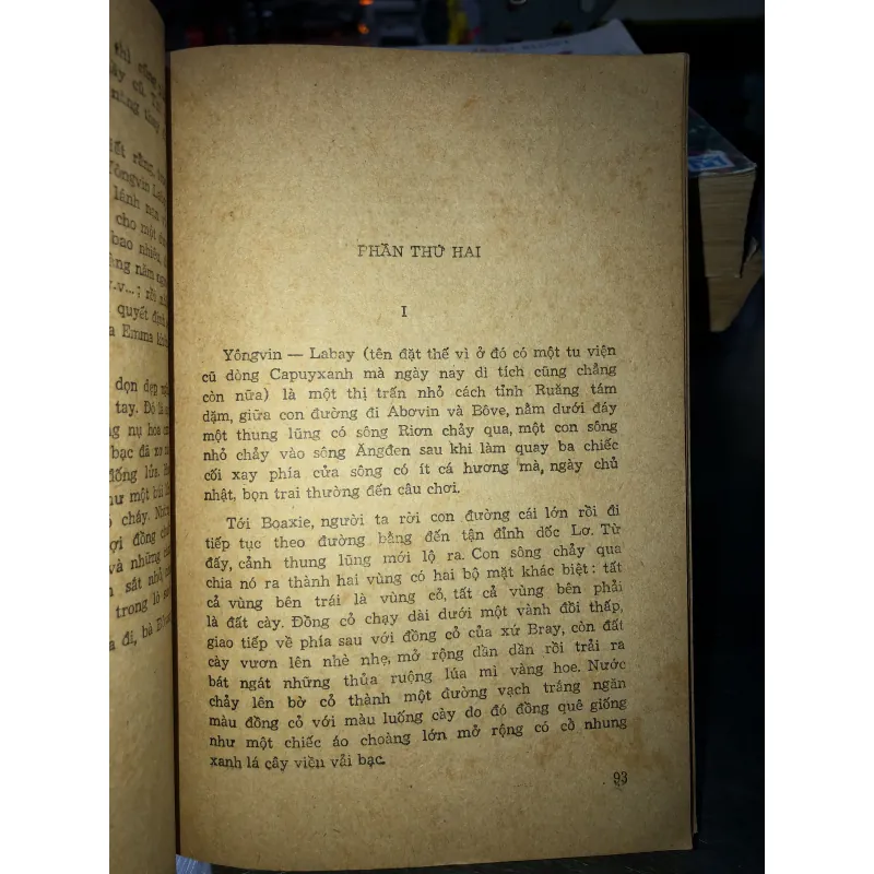 Bà Bôvary - G. Flôbe 790443