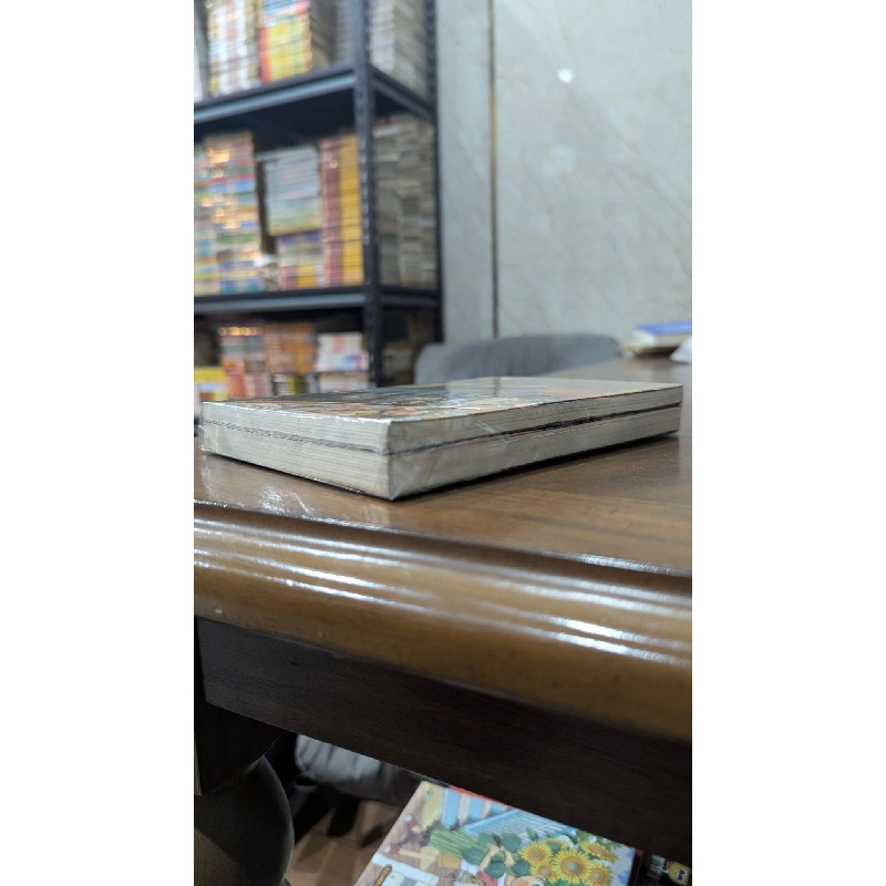 LIGHT NOVEL ONE PIECE CHUYỆN VỀ ACE 366157