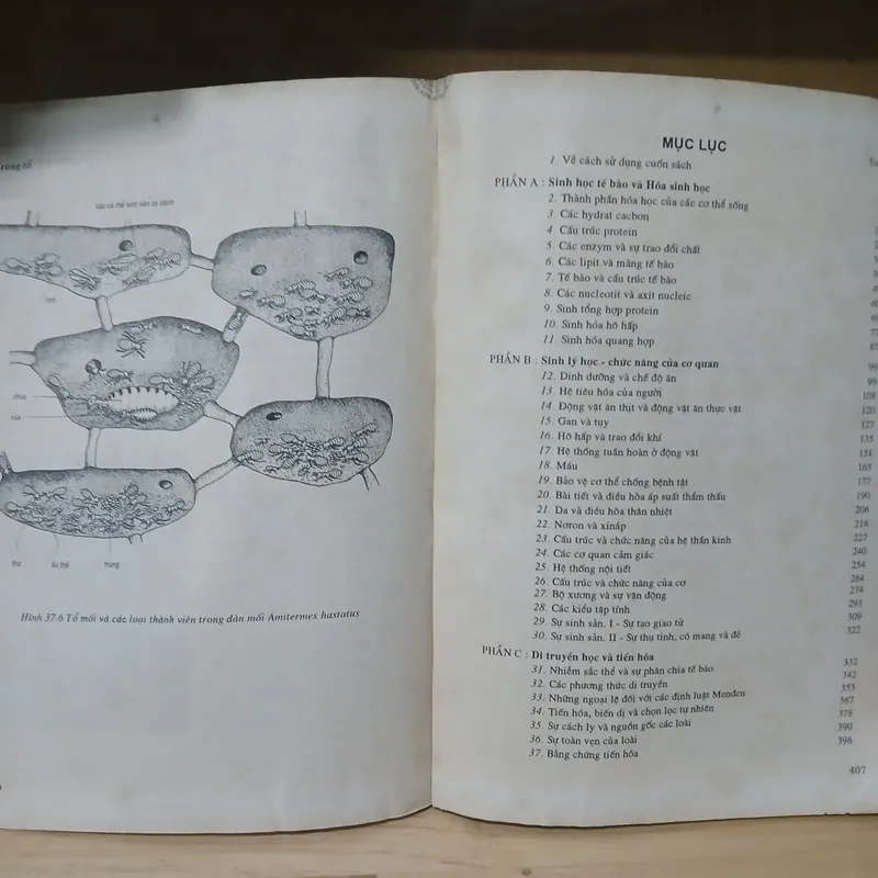 Sinh Học (Bộ 2 Tập) - W.D. Phillips & T.J. Chilton 738121