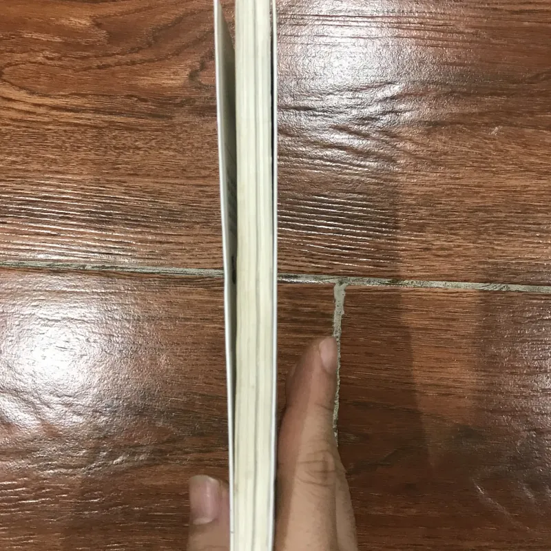 Rong chơi - Trần Lập (6) 563693