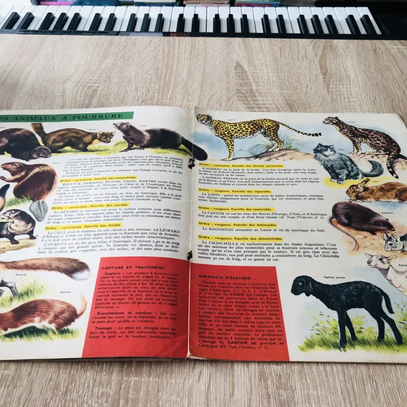 TẠP CHÍ TOUT L’UNIVERS – 1961 (5) 1017102