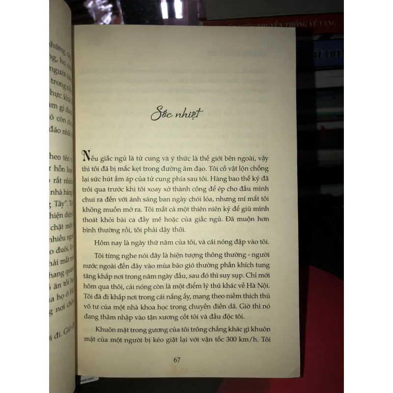 “Gái Tây ế” ở Hà Nội - Carolyn Shine  994239