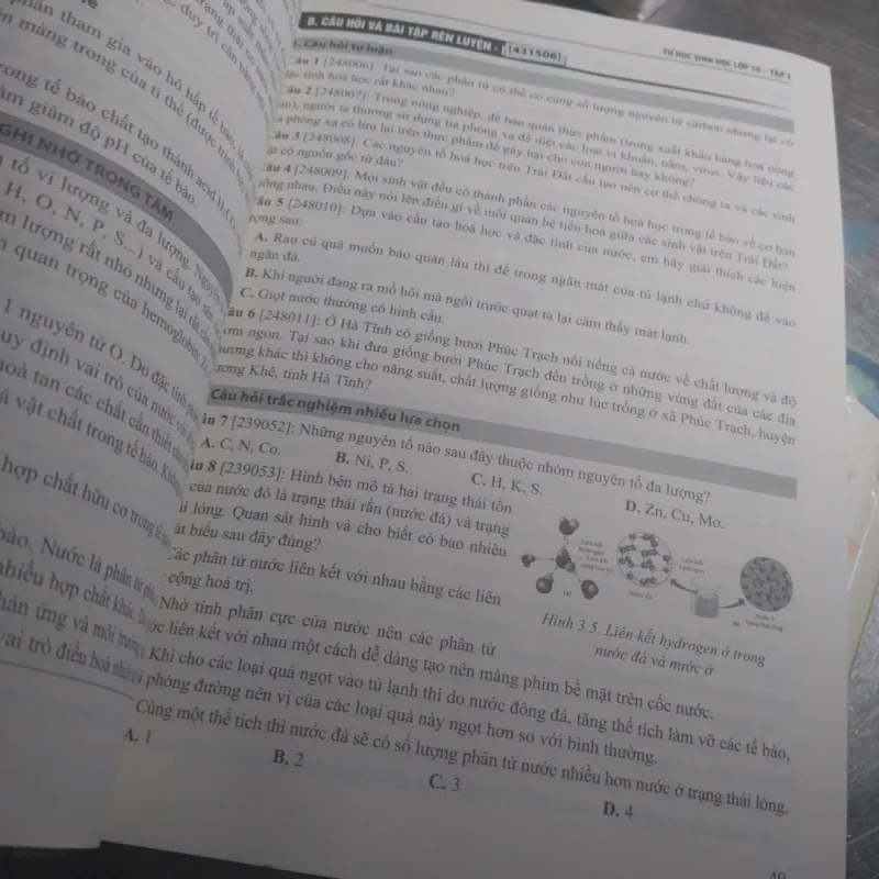 Tự học sinh 10 tập 1 782400