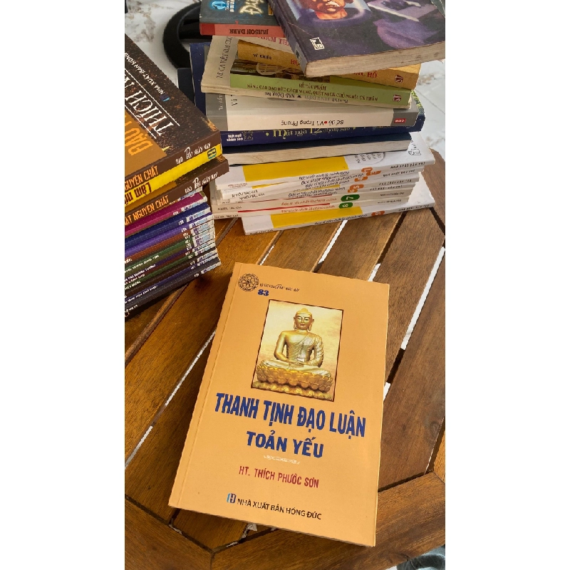 Thanh Tịnh Đạo Luận Toàn Yếu – HT. Thích Phước Sơn 529305