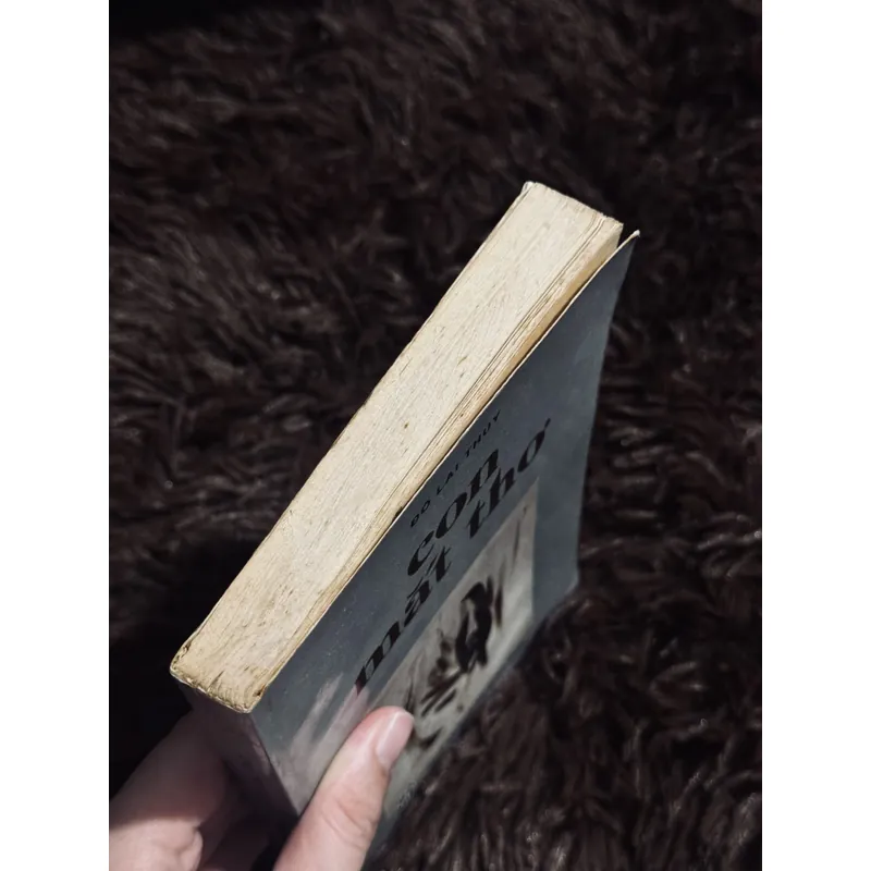 Con mắt thơ - Đỗ Lai Thuý 711336