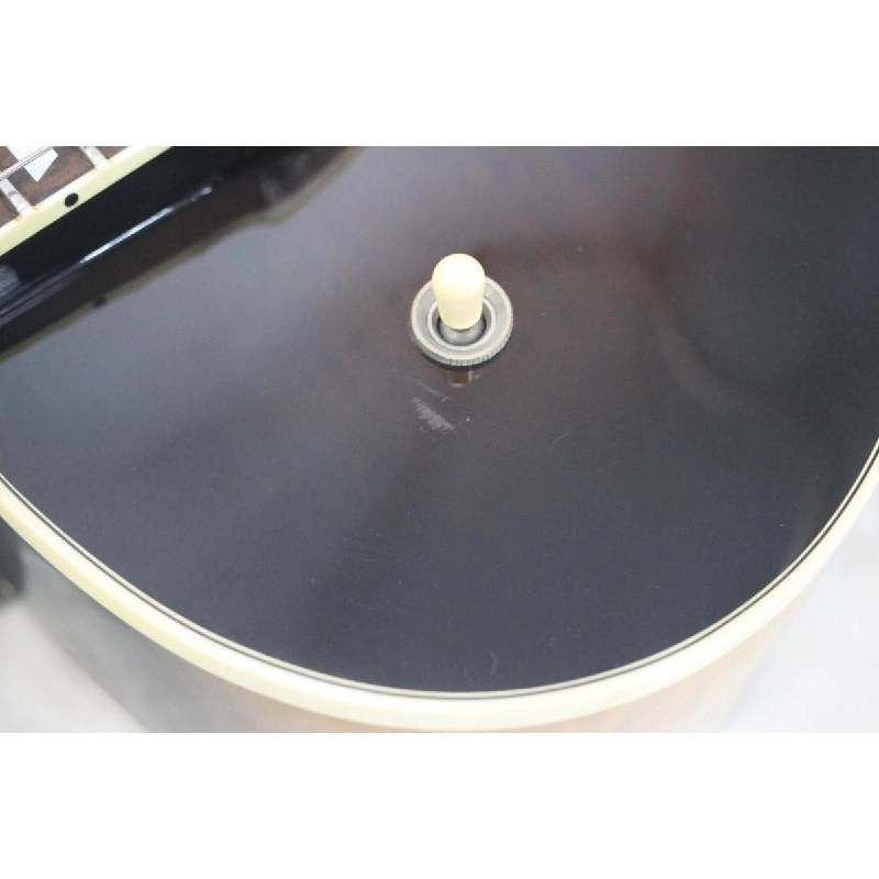 GIBSON ES-175 - Hàng hiệu Authentic 884670