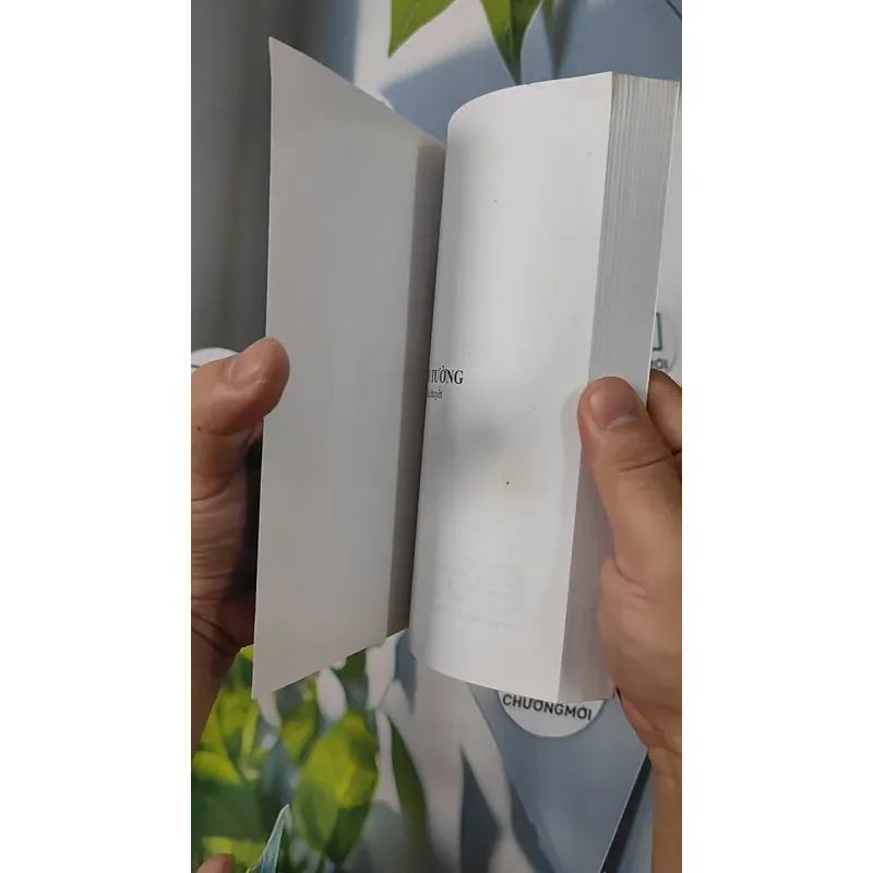 Tinh Tường - Đức Anh 798318