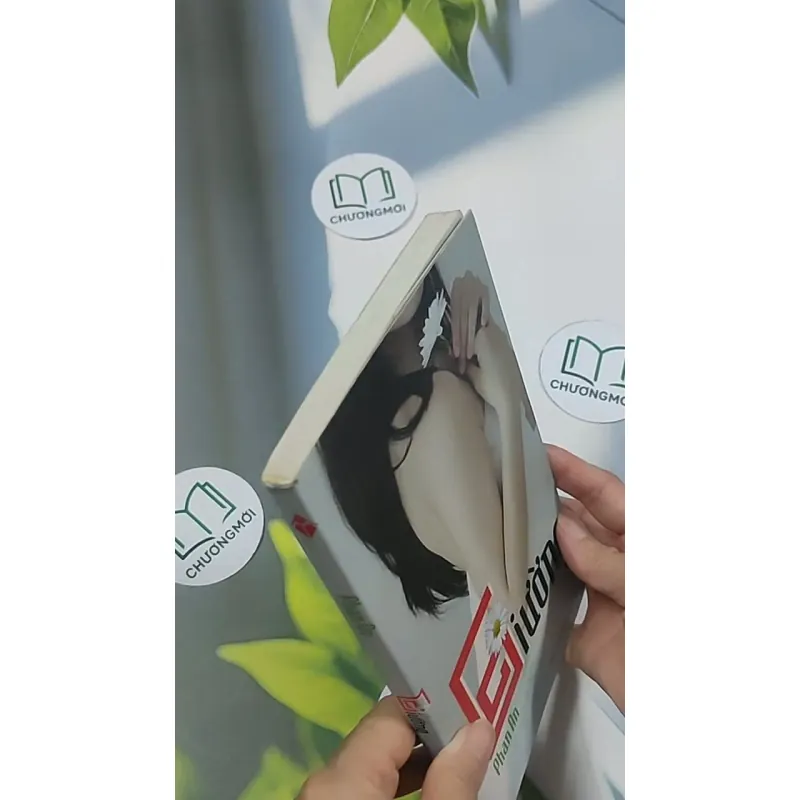 Giường - Phan An 694986