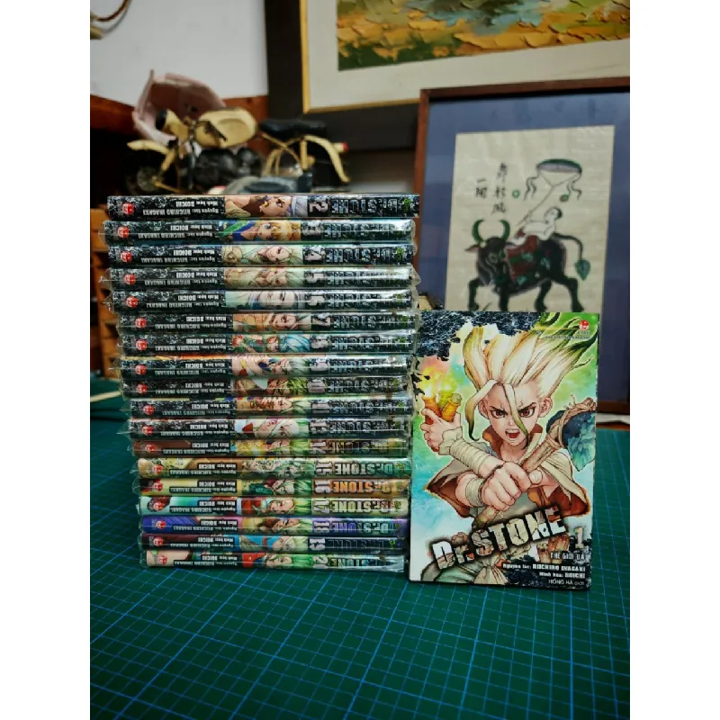 TRUYỆN TRANH DR STONE 378503