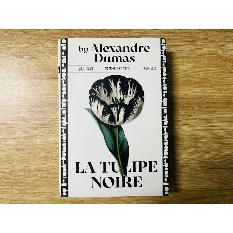 검은 튤립 Hoa Tuylip đen 748878