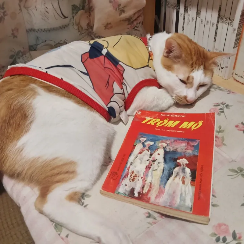 Trộm mộ - Nghê Khuông 925560