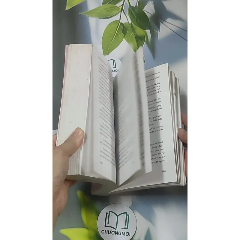 Nhật ký lấy chồng - Nhân Hải Trung 688623