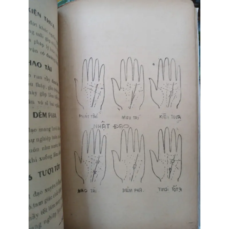 XEM CHỈ TAY - HUỲNH LIÊN TỬ 1007205