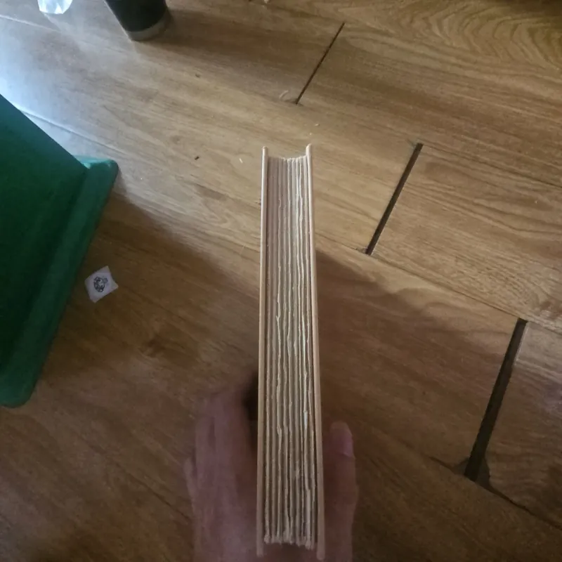 A series of unfortunate events the ersatz elevator book 6 (bìa cứng) Giá 30k  603987