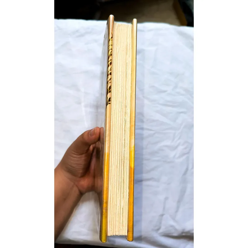 Wolf Hollow - Lauren Wolk (bìa cứng, từng ẩm, giấy gập thủ công) 732648