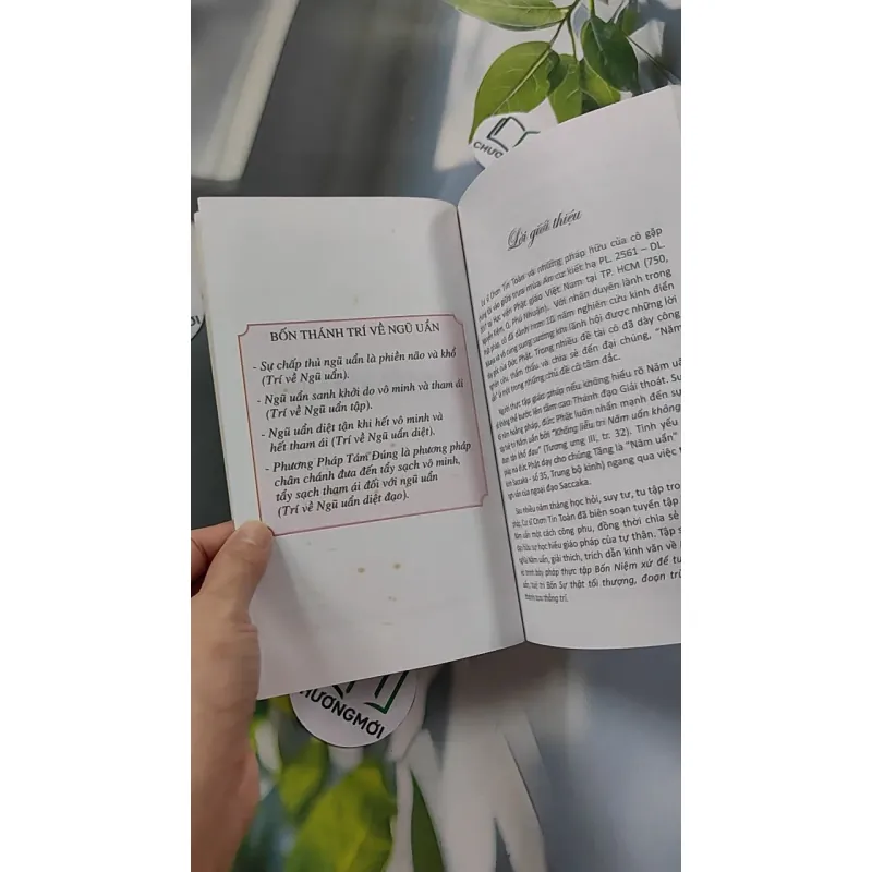 Tóm Tắt Năm Uẩn - Chơn Tín Toàn 776109