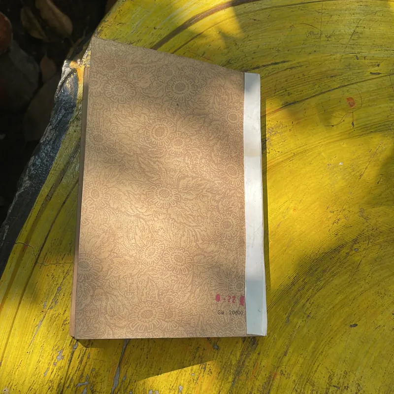 NGUYỄN DU- TRUYỆN KIỀU - bản in 1986 713219