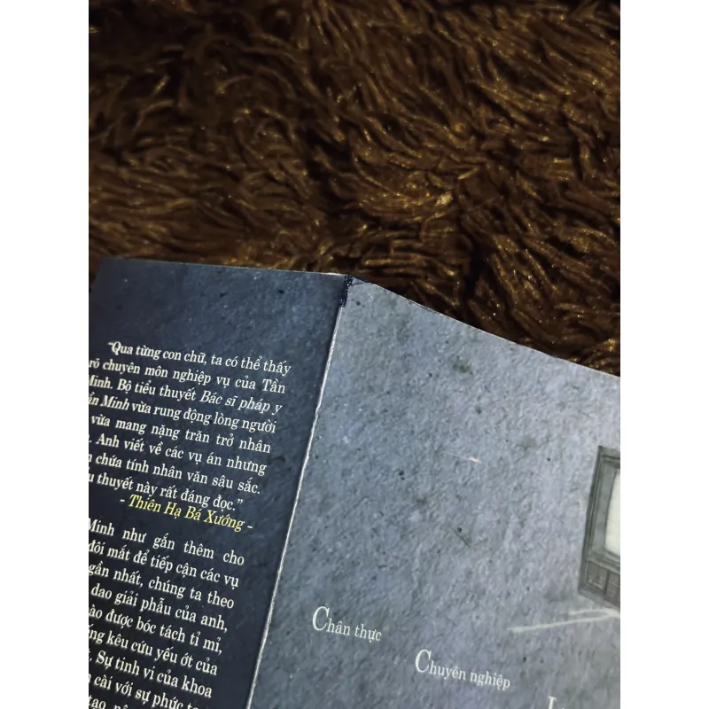 Kẻ nhìn trộm  1023810