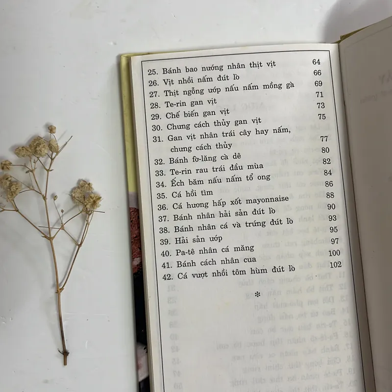 Bán sách cũ – Nấu món ăn Tây (Nấu đông & Patê) – Song Hồng (biên tập) 594772