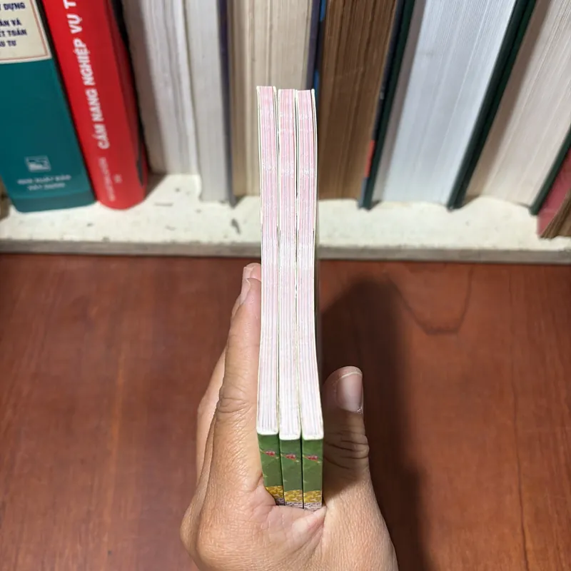 II Sách Thiếu Nhi: Bí Mật Của Ông Già Noel - Nguyễn Ngọc Hoài Nam - 2018 709527