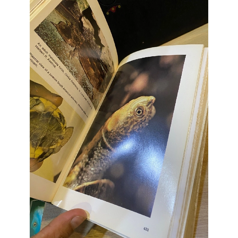 Encyclopedia of Turtles - Dr. Peter C. H. Pritchard 533826