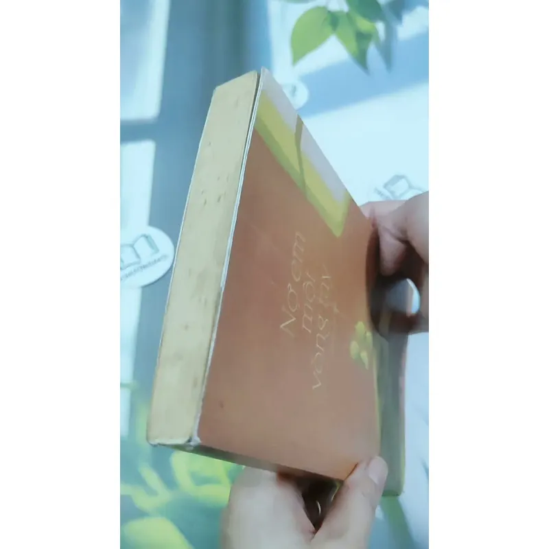 Nợ Em Một Vòng Tay 744713