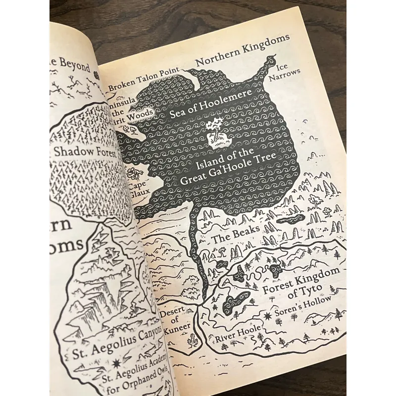 Guardians of Ga’Hoole: The Capture 972095