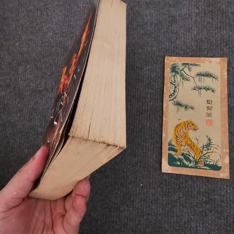 The burning sky  - sherry thomas 753297