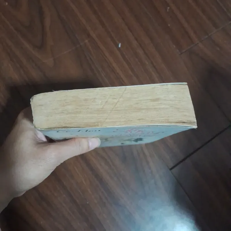 Tôi như ánh dương rạng rỡ 706599