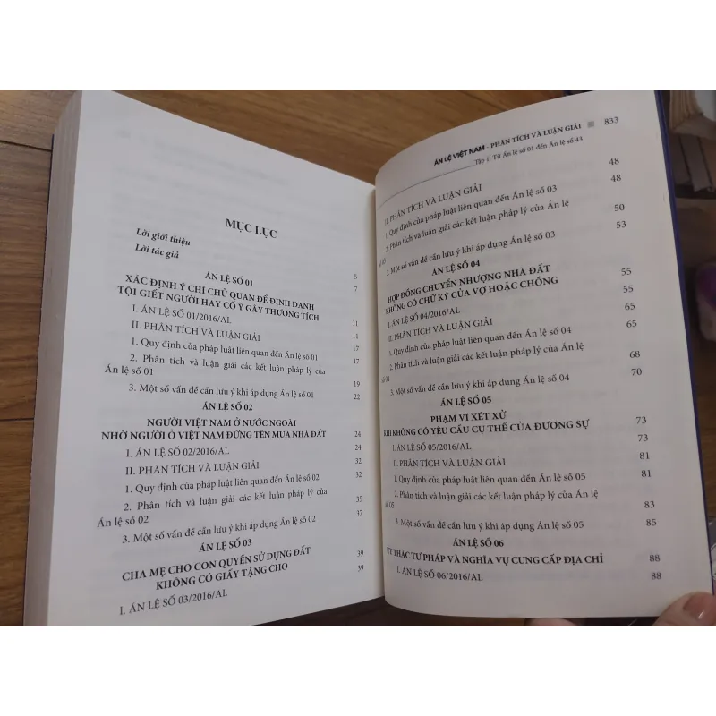 Sách: Án lệ Việt Nam - Phân tích và luận giải - TG: LS TS Lưu Tiến Dũng 736806