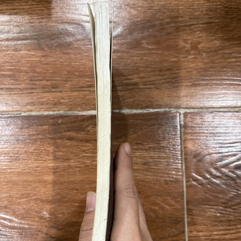 Thiên thần sám hối - Tạ Duy Anh  (k1) 779476