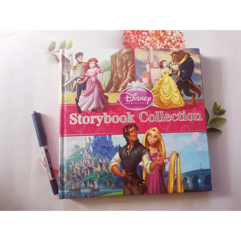 Disney Princess Storybook Collection 961402