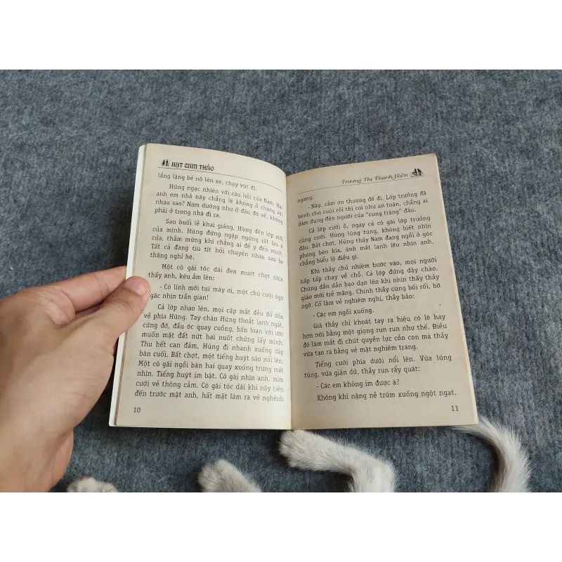 HẠT CAM THẢO - TRƯƠNG THỊ THANH HIỀN 567779