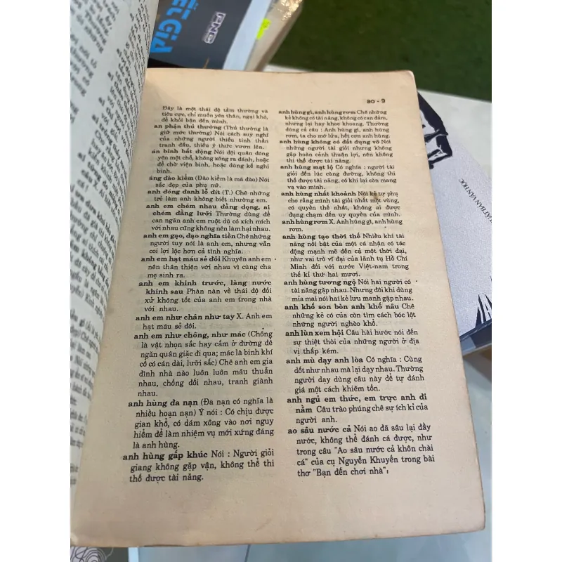 TỪ ĐIỂN THÀNH NGỮ VÀ TỤC NGỮ VIỆT NAM - NGUYỄN LÂN  1010399