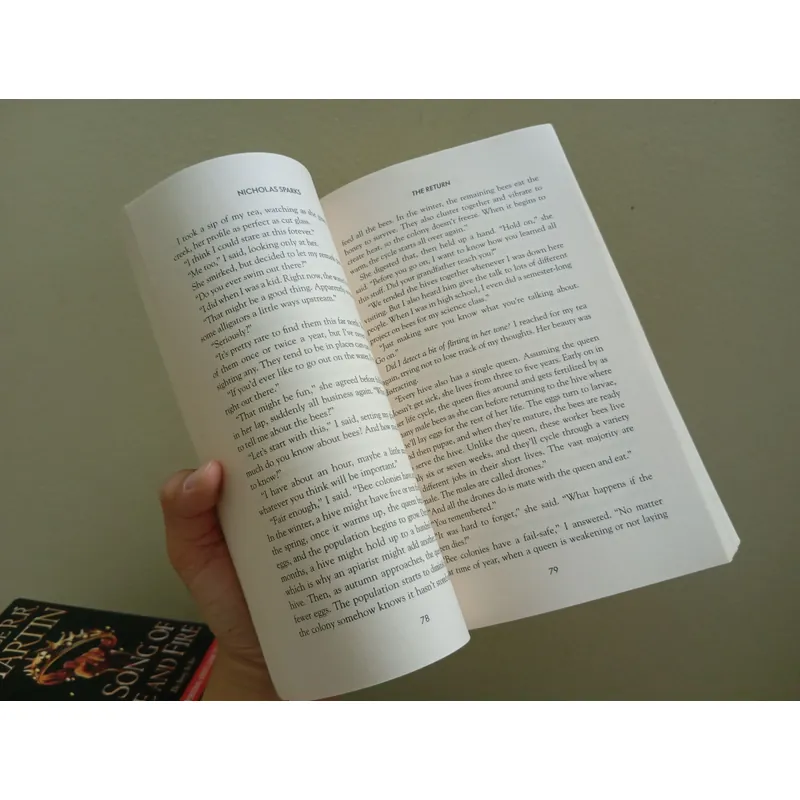 The return, sách ngoại văn tiếng Anh, english book, tiểu thuyết  595923