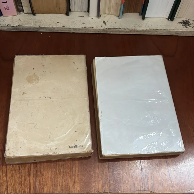 II Sách Xưa, Tiểu Thuyết Trinh Thám: Con Kỳ Nhông - MORRIS WEST - 1988 590495