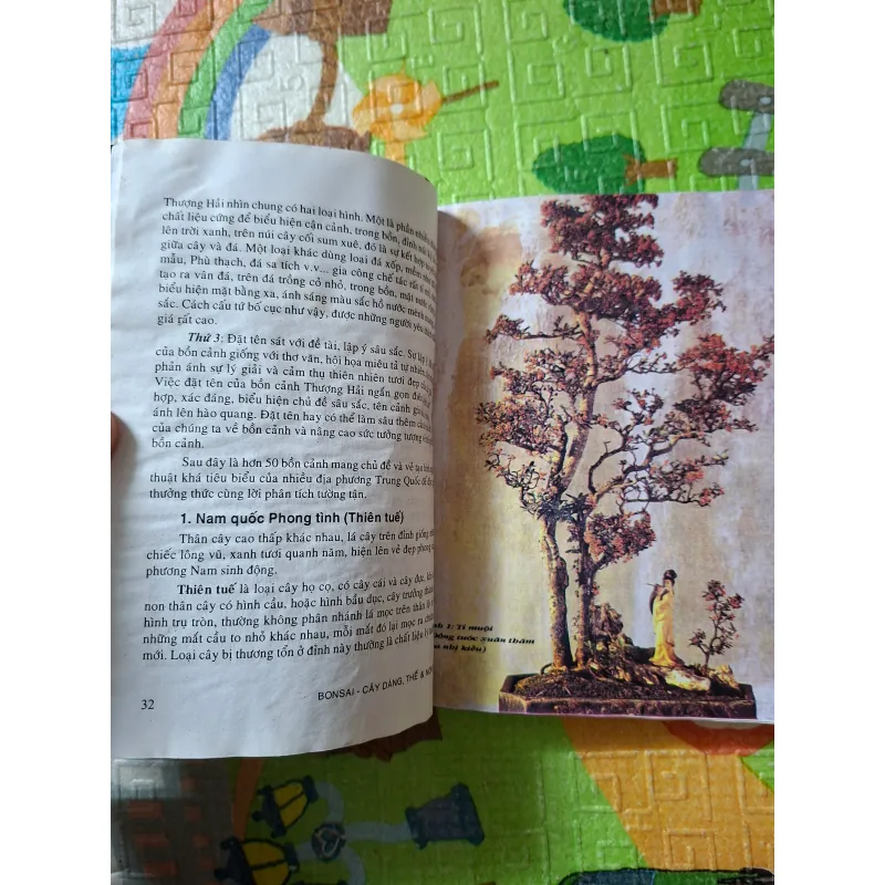 Bonsai - Cây dáng, thế và Non bộ 933891