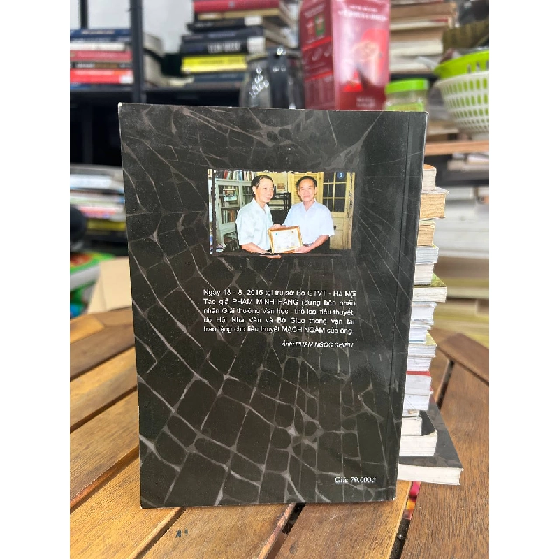 Mạch Ngầm - Phạm Minh Hằng - Phạm Minh Hằng 961008