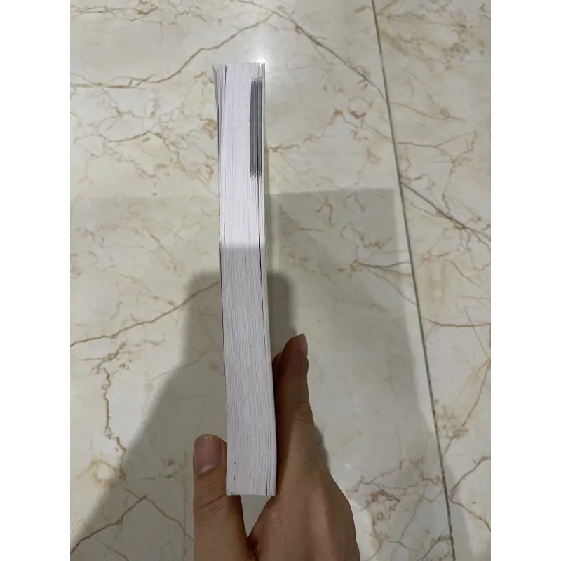 Hải ngoại kỷ sự - Thích Đại Sán  970195