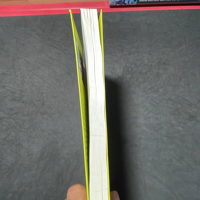 Tự chữa lành làm sao để khai sáng? Thầy Pradeep Vijay 305406