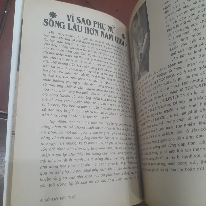 SỔ TAY NỘI TRỢ tập 31 753020