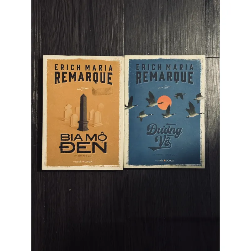 Combo 2 cuốn E.M.Remarque 597837