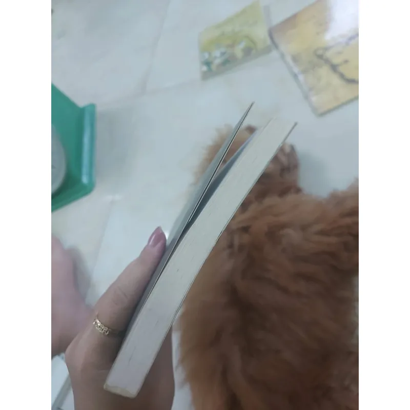Gió lạnh đầu mùa hcm 1068302